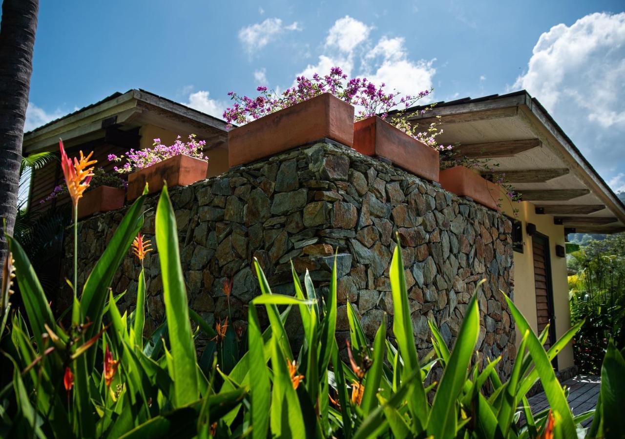 Gardenia Springs Hotel Buritaca Buitenkant foto